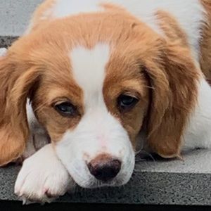 Meet your Posher, Fiona